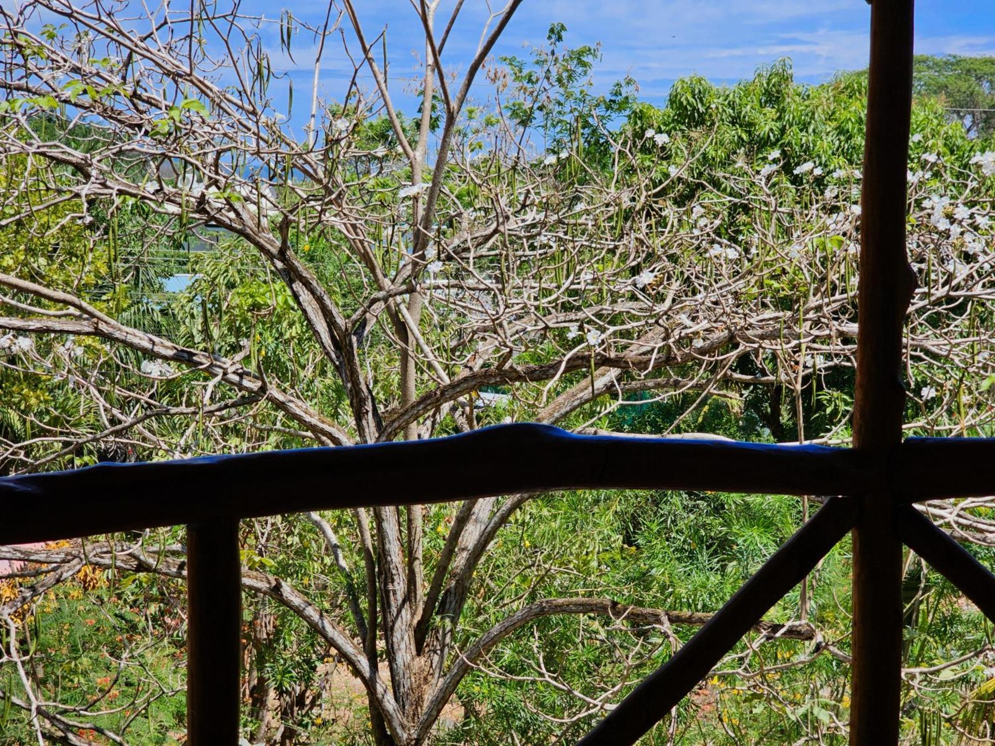 Don Jon'S Surf And Yoga Lodge Playa Santa Teresa  Buitenkant foto