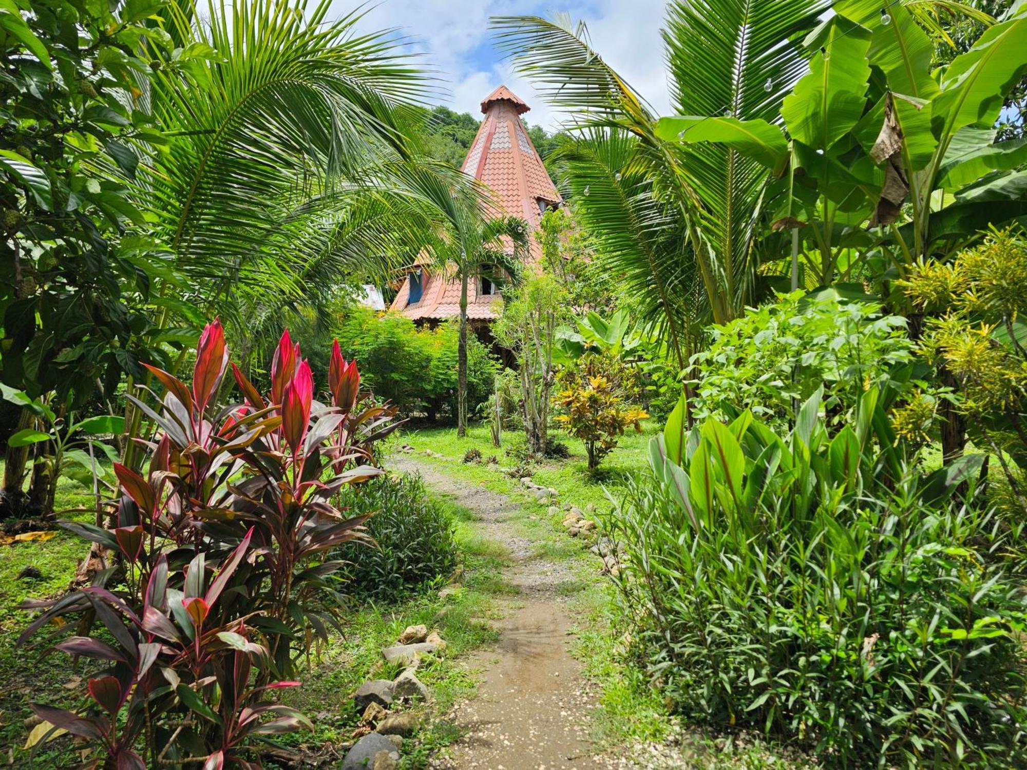 Don Jon'S Surf And Yoga Lodge Playa Santa Teresa  Buitenkant foto